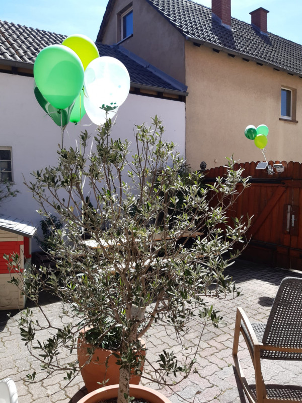 Sommerfest